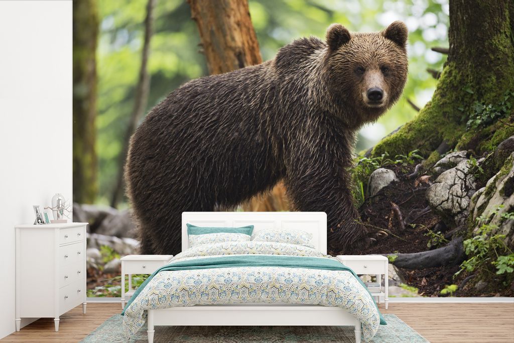 MuchoWow Fototapete für Wohnzimmer oder Schlafzimmer Wandtapete Vinyl Motivtapete Grizzlybär - Baum - Regen - 420x280 cm - Zimmer für Kinder