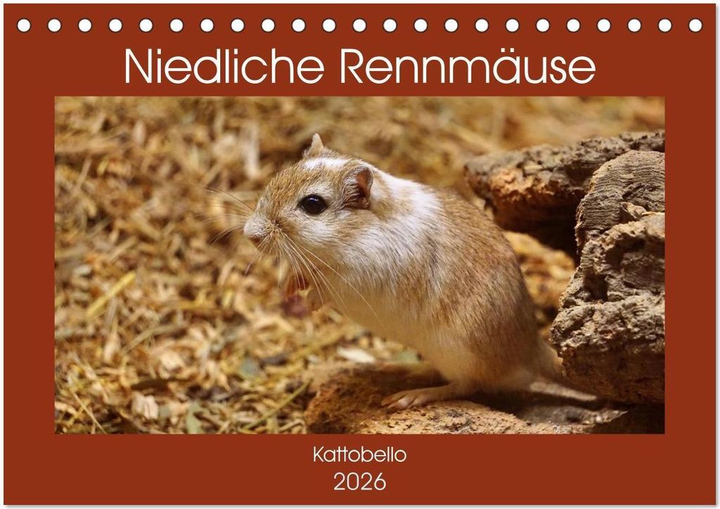 Niedliche Rennmäuse (Tischkalender 2026 DIN A5 quer), CALVENDO Monatskalender