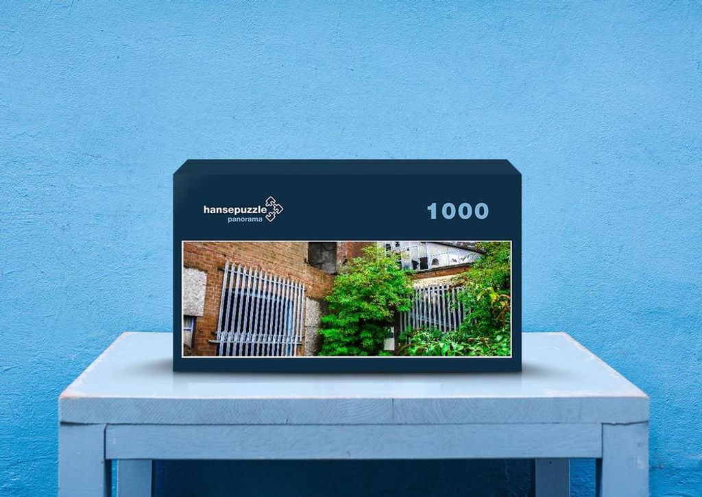 hansepuzzle 55162 - Verlassener Ort Puzzle, 1050 Teile, Hintergründe, 60,0 x 46,0cm mit hochwertiger Aufbewahrung, Kartonbox & Beutel