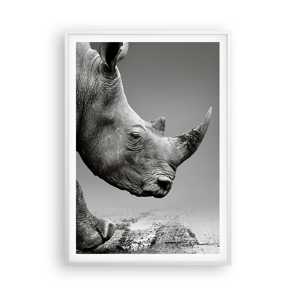 Gerahmtes Poster - Weißer Rahmen - Nashorn Monochrom Tier - 70x100 cm - Wand Bild - Wanddeko - Wandbilder - Kunstposter - Wandposter - Bilderrahme...