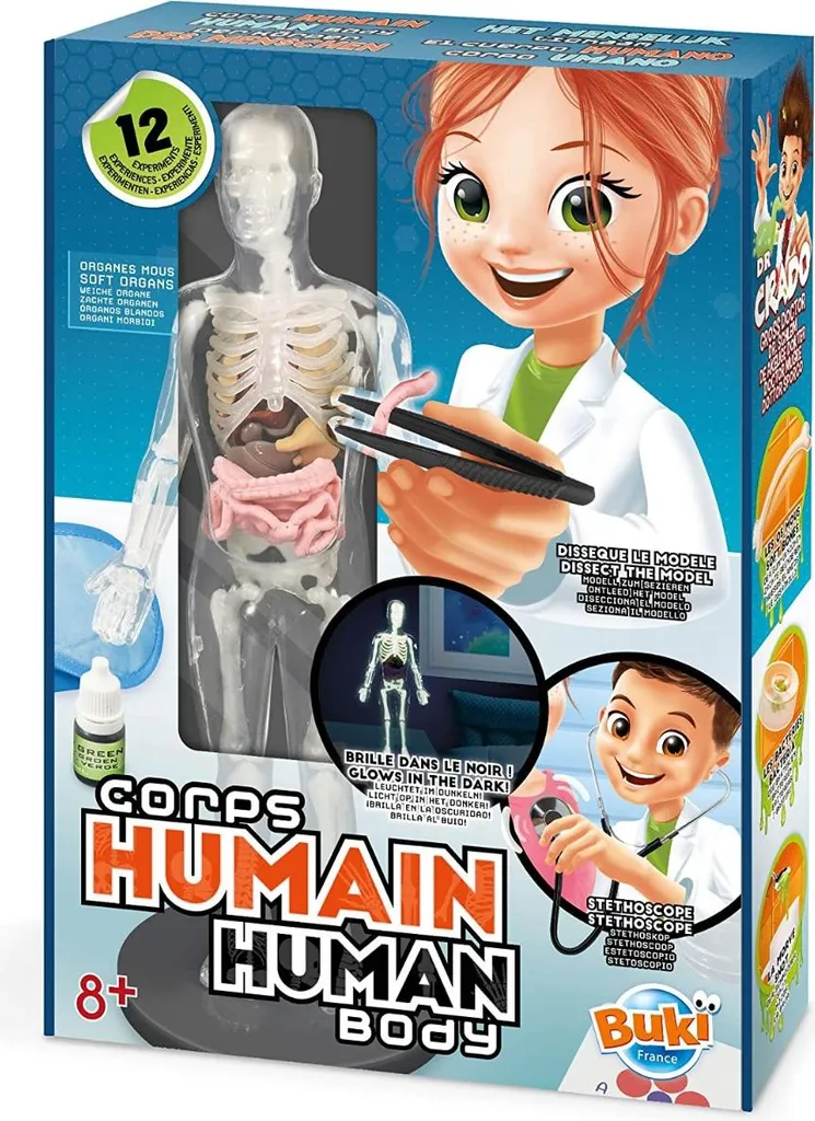 Comprendre l'anatomie facilement avec le corps humain Buki réf 2163