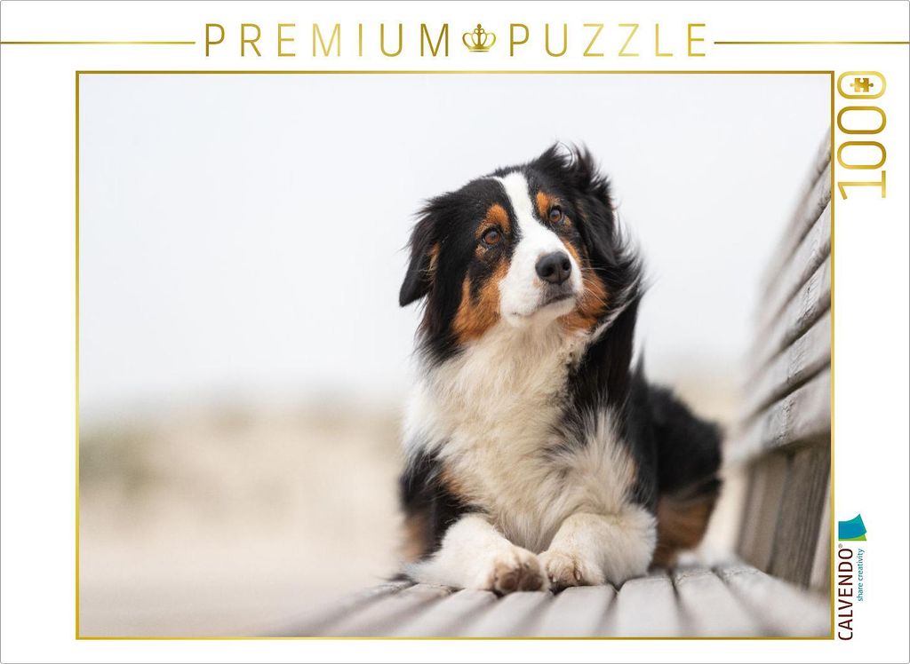 CALVENDO Puzzle Gibt's jetzt einen Keks? | 1000 Teile Lege-Größe 64x48cm Foto-Puzzle für glückliche Stunden