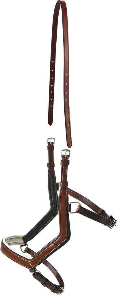 BUSSE Reithalfter Modena Ledertrense Hazel