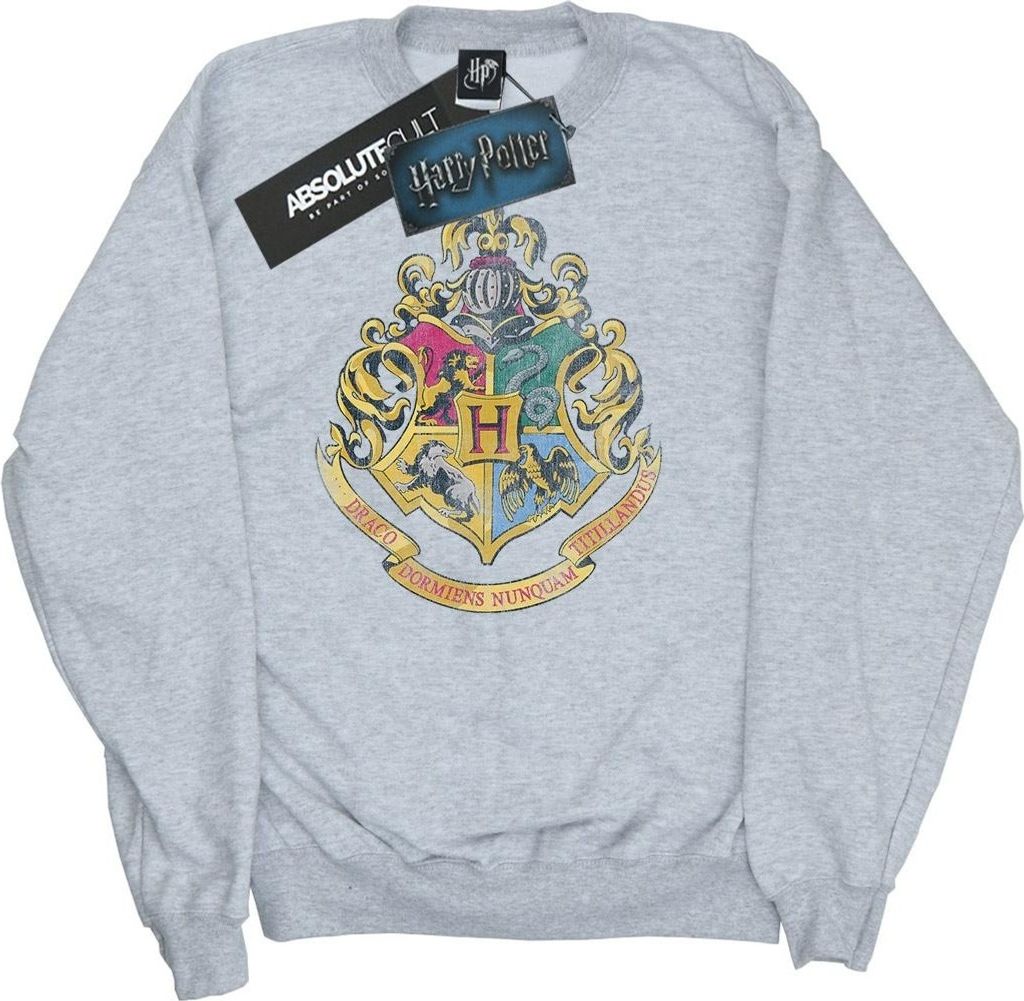 Harry Potter - Sweatshirt für Herren BI1135 (XXL) (Grau)