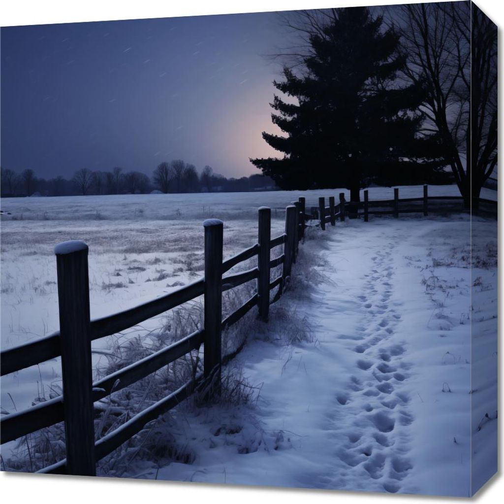 Bild 50x50cm Ruhiges Licht des Winters