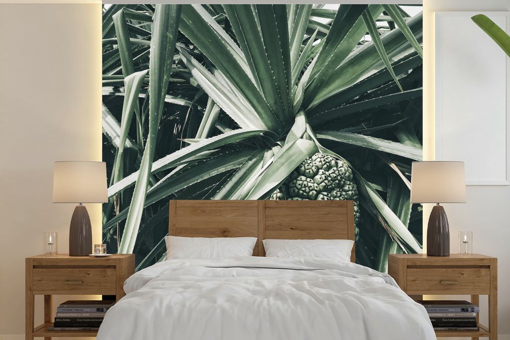 MuchoWow Fototapete für Wohnzimmer oder Schlafzimmer Wandtapete Vinyl Motivtapete Kaktus - Tropisch - Grün - 240x240 cm - Schlafzimmer-Tapete