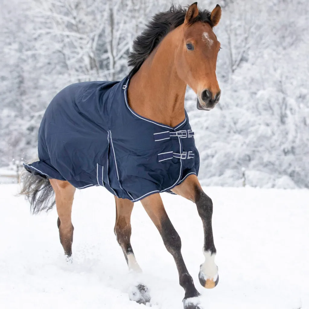 Coperta Cavallo Waldhausen 50g Economic Nachtblau | Impermeabile