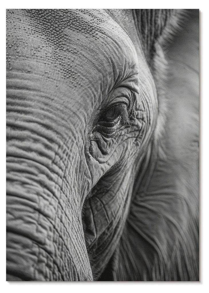 POSTER - 21x29 cm (A4) - Visual Echo - Ein Elefantenauge voller Texturen, Harmonie und Frieden. - Wandbild für Wohnzimmer Schlafzimmer & Flur, Mod...