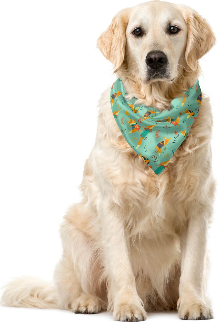 ABAKUHAUS Kindergarten Haustier Bandana, Füchse mit Brille, 55x55 cm, Blassgrün Orange