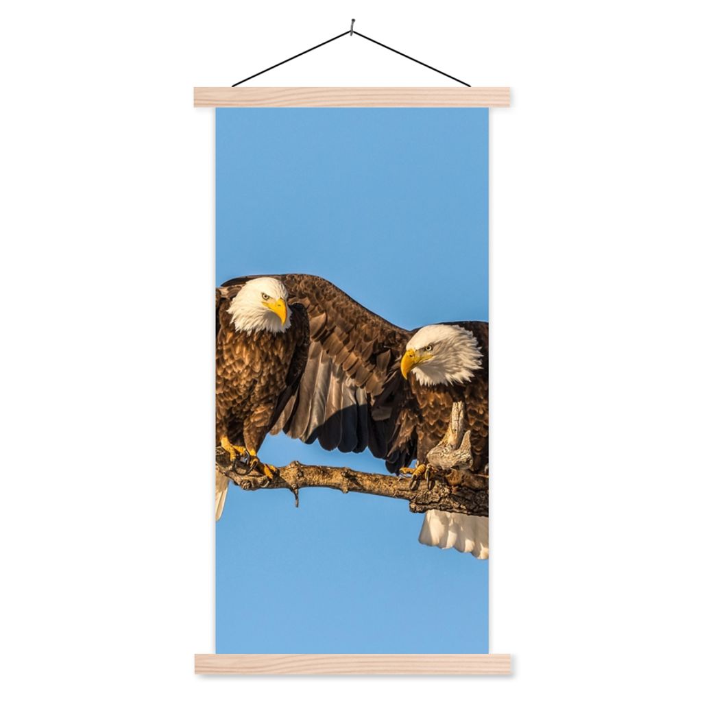 MuchoWow Textilposter Vogel - Äste - Adler - Raubvögel - Luft 60x120 cm mit holzfarbenen Rahmen - Holz