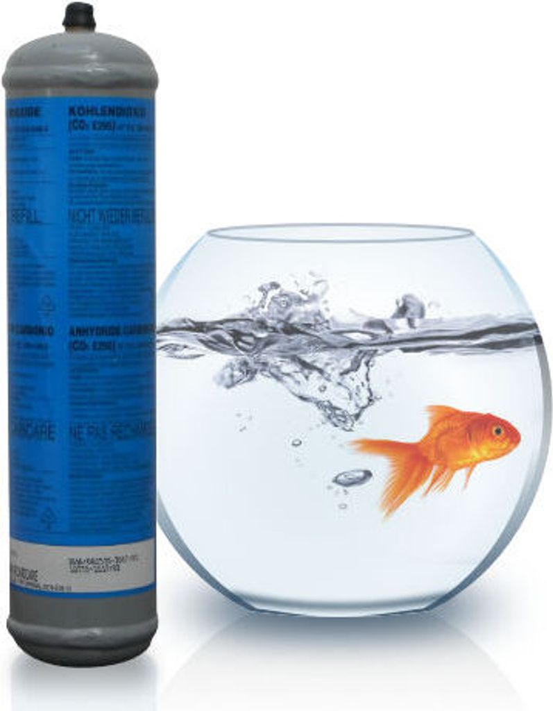 Eurotre Co2 Einweg Zylinder Vorratsflasche mit 600 gr Füllung Kohlesäure Gewinde M10x1 Düngung von Aquarien, 1 Stück
