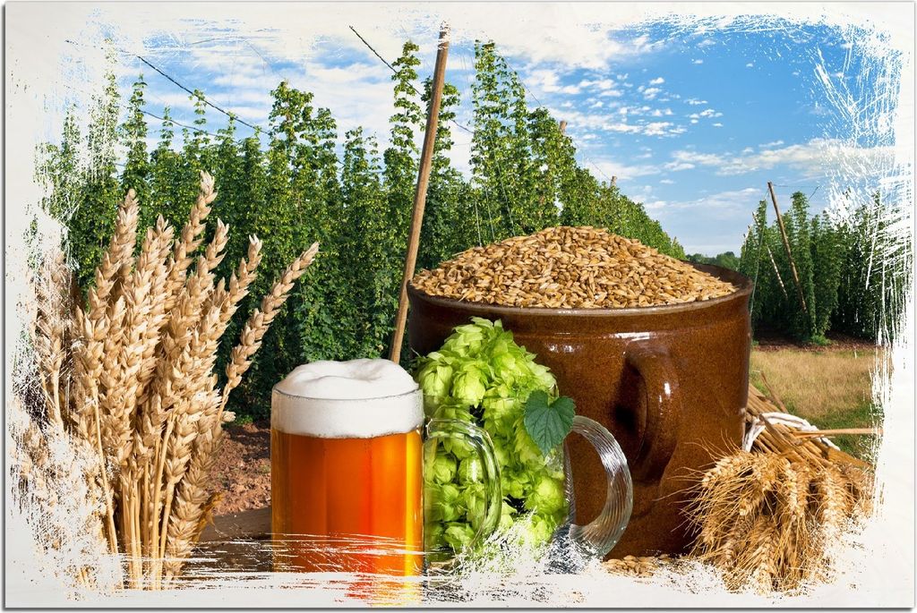 Kunstdrucke Wandbilder Holz in : Brillante Farben, Größe 60 x 90 cm Motiv Frisch gezapftes Bier, Hopfen und Malz