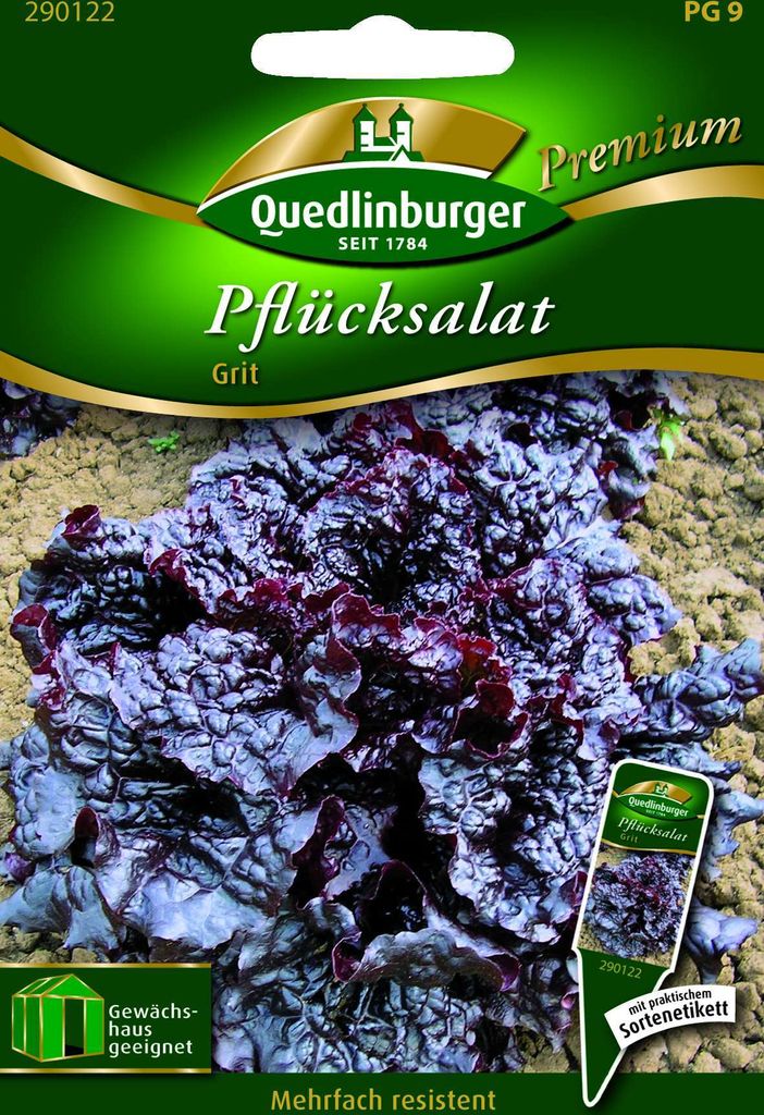 Quedlinburger Saatgut - Pflücksalat Grit - Samen - 290122