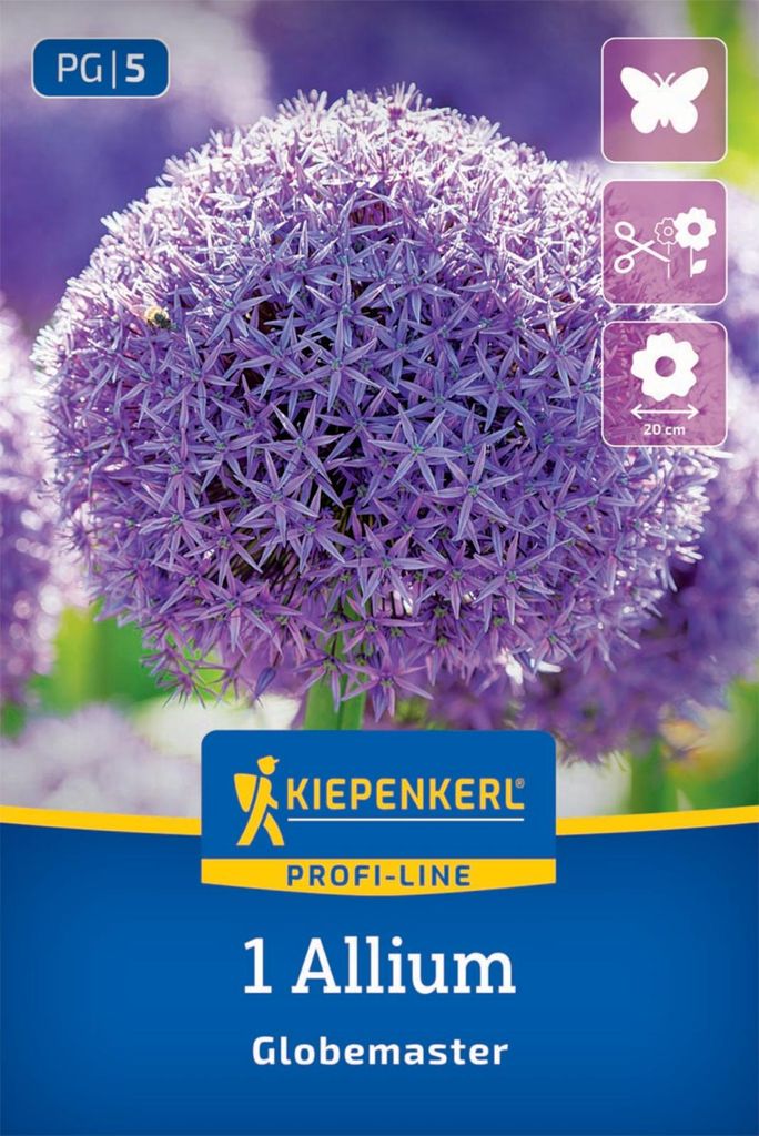 Kiepenkerl Profi-Line Zierlauch Globemaster Allium sp. 1 Produktbild 