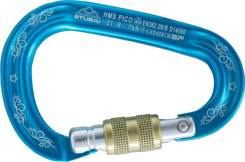 HMS Pico Easylock Karabiner türkis | 97 × 65 mm | EN 12275, Produktbild 