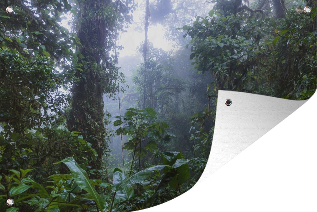 MuchoWow 60x40 cm Outdoor-Poster Gartendeko Sichtschutz Garten Poster für den Garten Tropische Bäume im Bosque Nuboso Monteverde