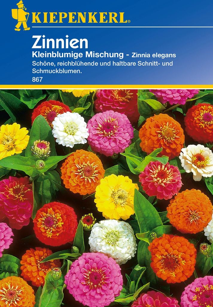 Kiepenkerl Zinniensamen Kleinblumige Mischung