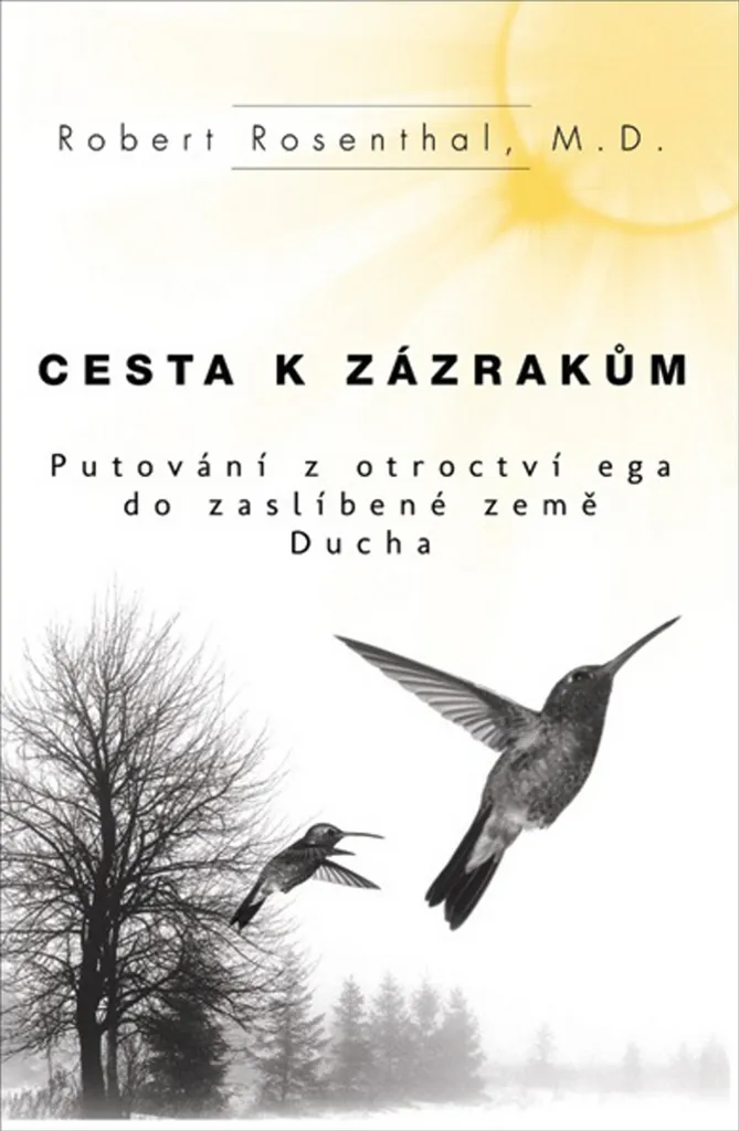 Cesta k zázrakům Robert Rosenthal livre pour changer sa vision de vie