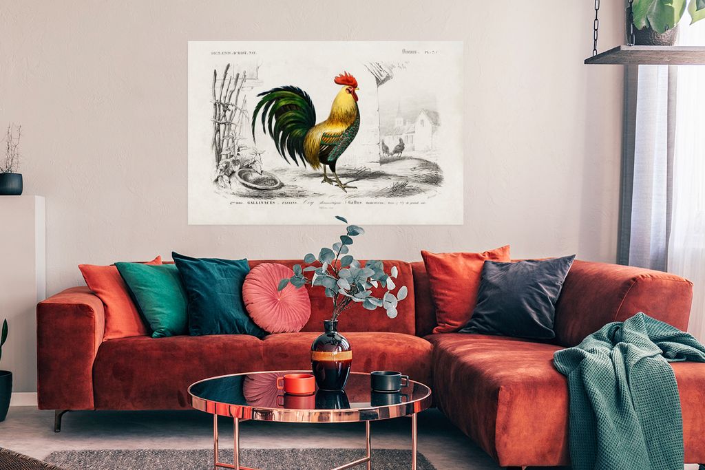 MuchoWow Poster Hahn - Vogel - Jahrgang 120x80 cm - Bilder