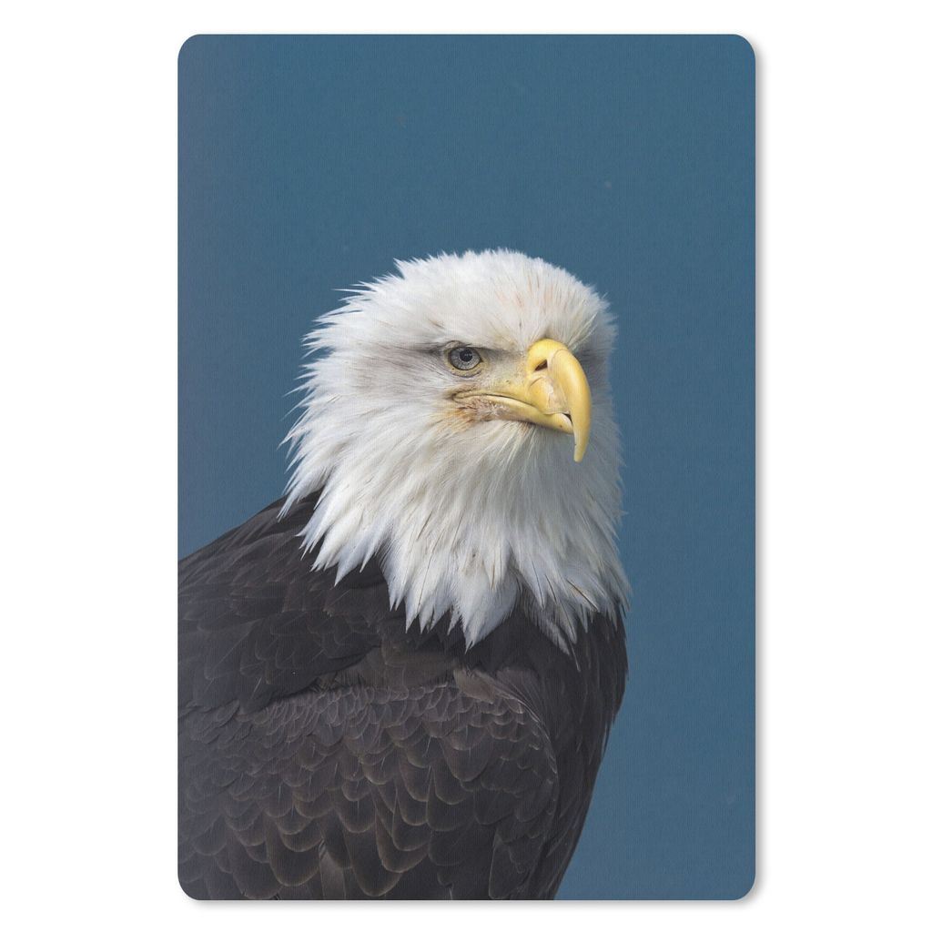 MuchoWow Mauspad Mousepad Ein Weißkopfseeadler in einem schönen hellblauen Himmel 18x27 cm - Mousepads - Maus Mat - Pad - Mausunterlage