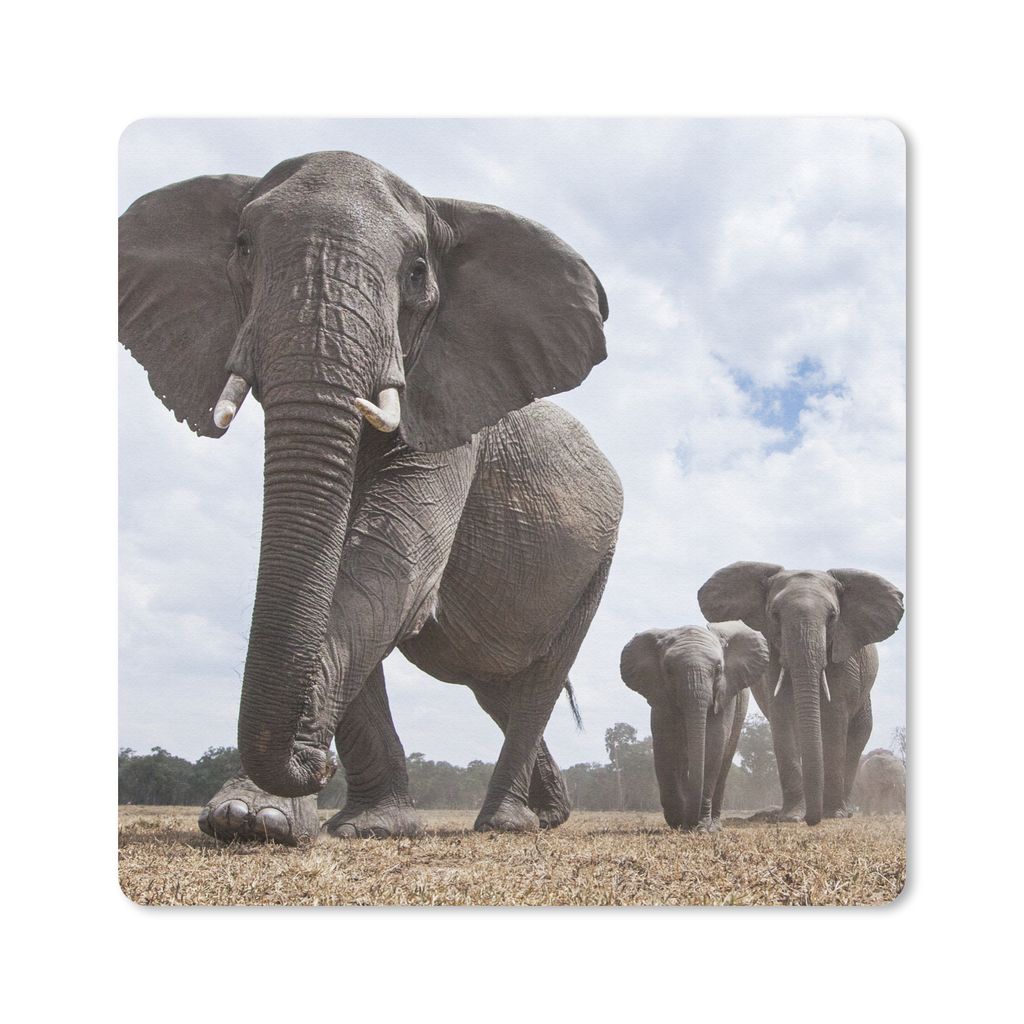 MuchoWow Mauspad Mousepad Elefant - Tiere - Natur - Flachland 20x20 cm - Mousepads - Maus Mat - Pad - Mausunterlage - Desk Mat - Bureauartikeln