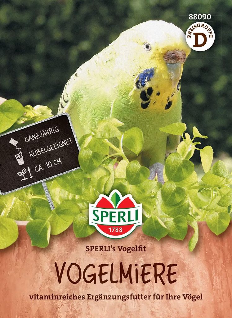SPERLI Vogelmieresamen Vogelfit Stellaria media 0,5 m² Produktbild 