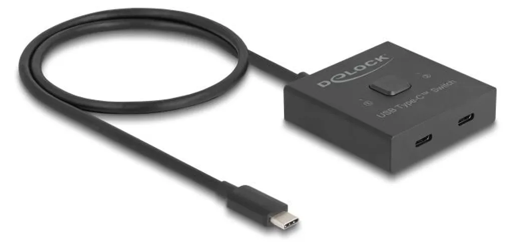 Commutateur Delock USB 10 Gbps USB Type-C Switch 2 vers 1 8K UHD