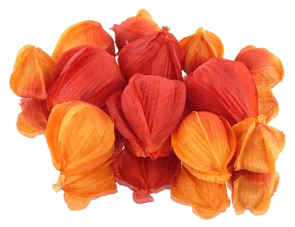 DPI Lampionpflanze - Physalis Früchte Orange Ø 3 bis 5 cm - Produktbild 