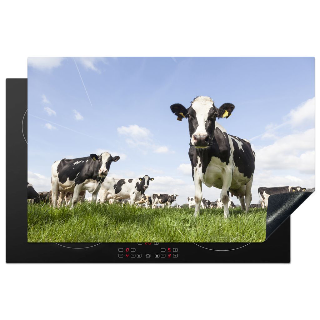 KitchenYeah Herdabdeckplatte Kühe - Tiere - Weide - Niederländisch , 81x52cm, Küche Deko, Glaskeramikkochfeld Herdabdeckung, Abdeckplatte fùr...