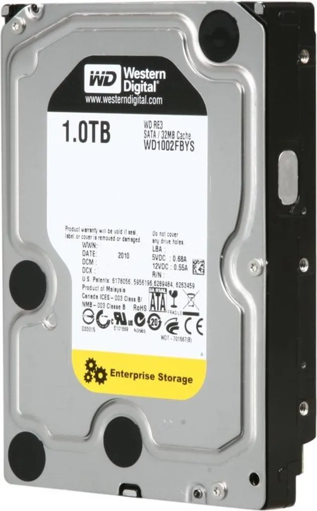 Hard Disk WD1002FBYS 1TB RE3: Disco Rigido 3.5" per PC e DVR Professionale - 3