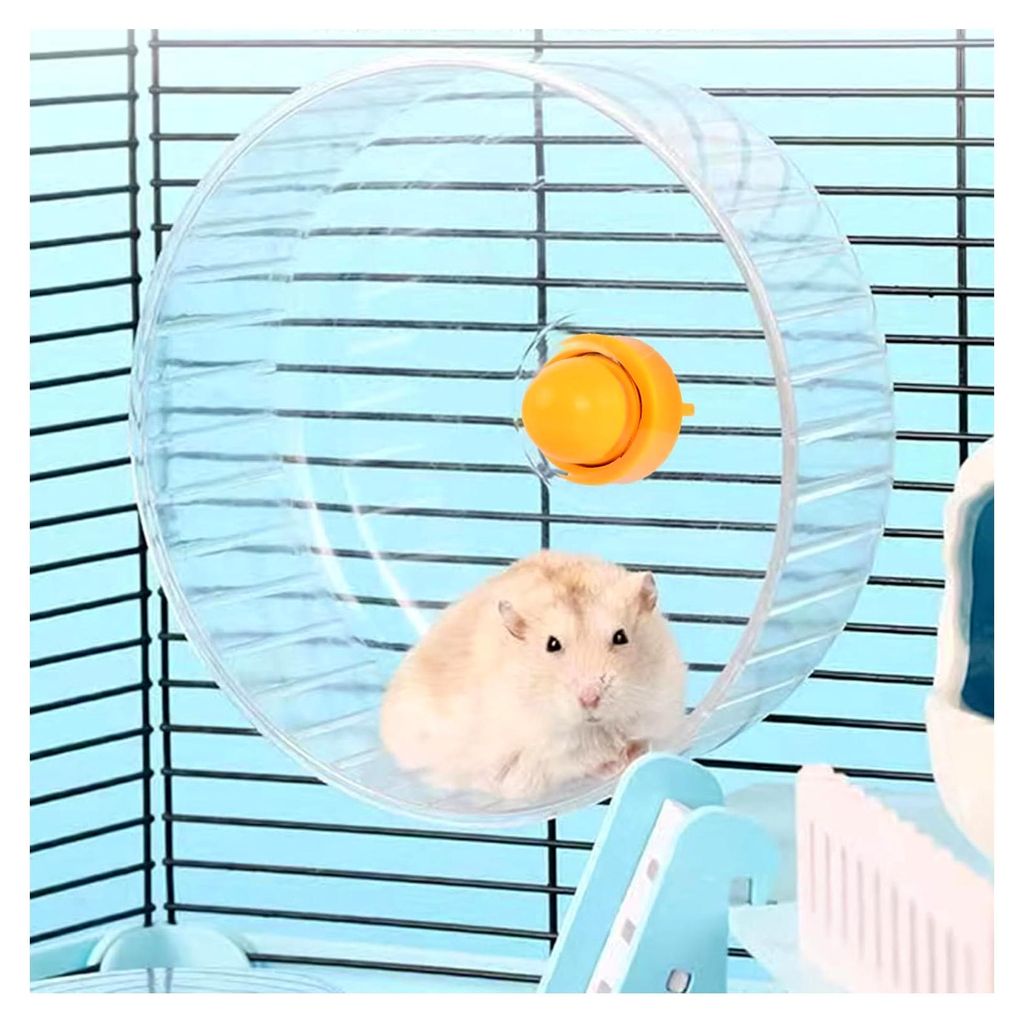 Hamsterrad 21 cm, Laufrad für Hamster, Leise Spinner, Transparent, Kunststoff