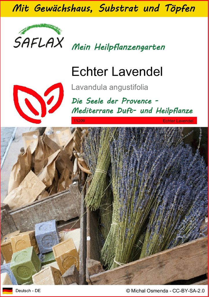 SAFLAX Anzucht Set - Echter Lavendel - Lavandula angustifolia - 150 Samen - Mit Mini-Gewächshaus, Anzuchtsubstrat und 2 Töpfen