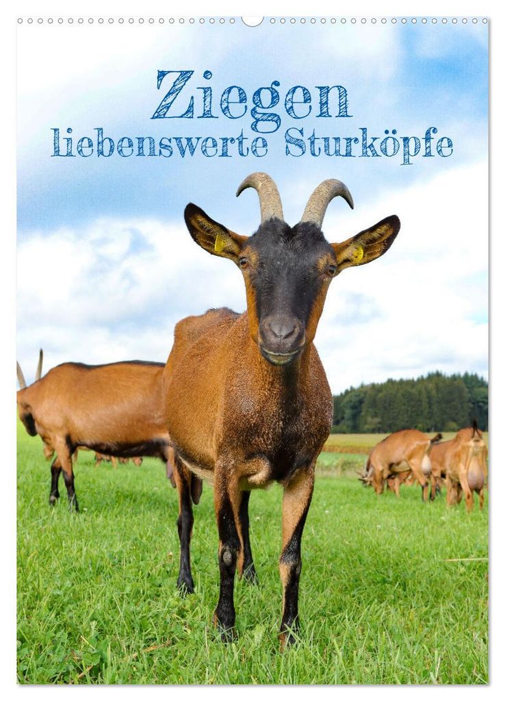 Ziegen - liebenswerte Sturköpfe (Wandkalender 2027 DIN A2 hoch), CALVENDO Monatskalender