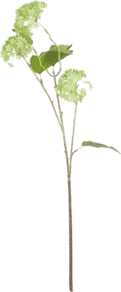 Hill Interiors - Künstliche Pflanze, Viburnum HI3125 (66cm) (Grün)
