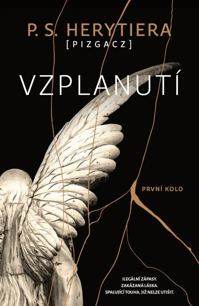 Vzplanutí 1 První kolo - BD Illustrée avec Scénario Captivant et Rythmé