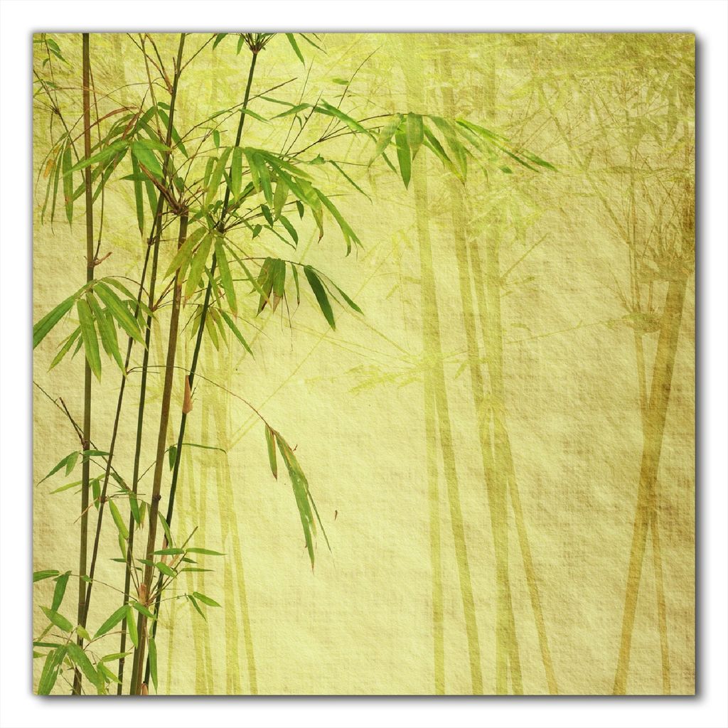 Wallario selbstklebende Möbelfolie/ Tischdecke für Innen und Außen, Größe: 50 x 50 cm - Antiker Bambus