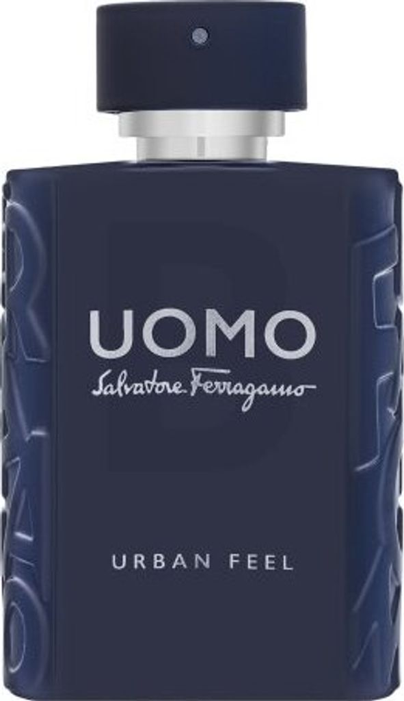 Herrenparfüm Salvatore Ferragamo Uomo Urban Feel (100 ml) Produktbild 
