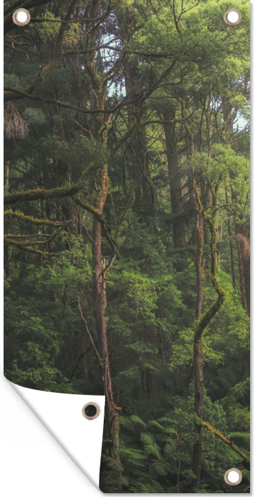 MuchoWow 80x160 cm Outdoor-Poster Gartendeko Sichtschutz Garten Poster für den Garten Dschungel in Australien