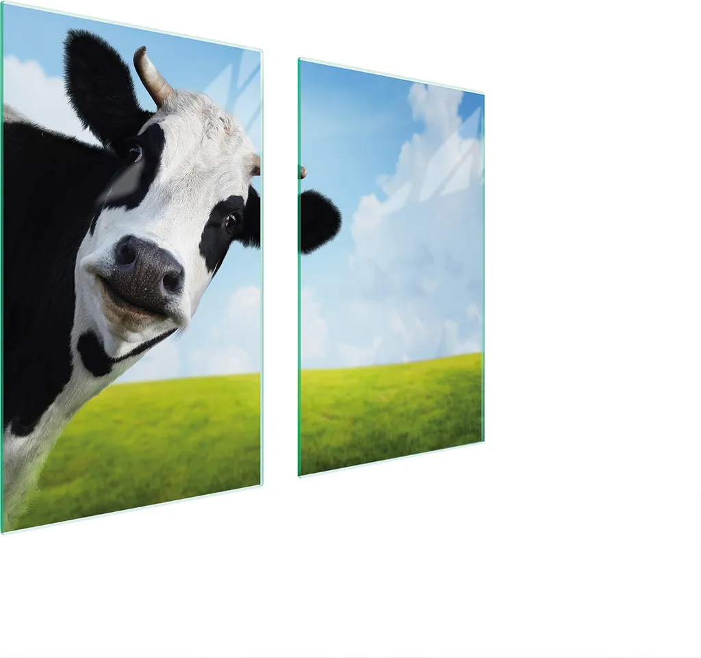 Piastre Protezione Fornelli 75x52 in Vetro Temperato Cow Village
