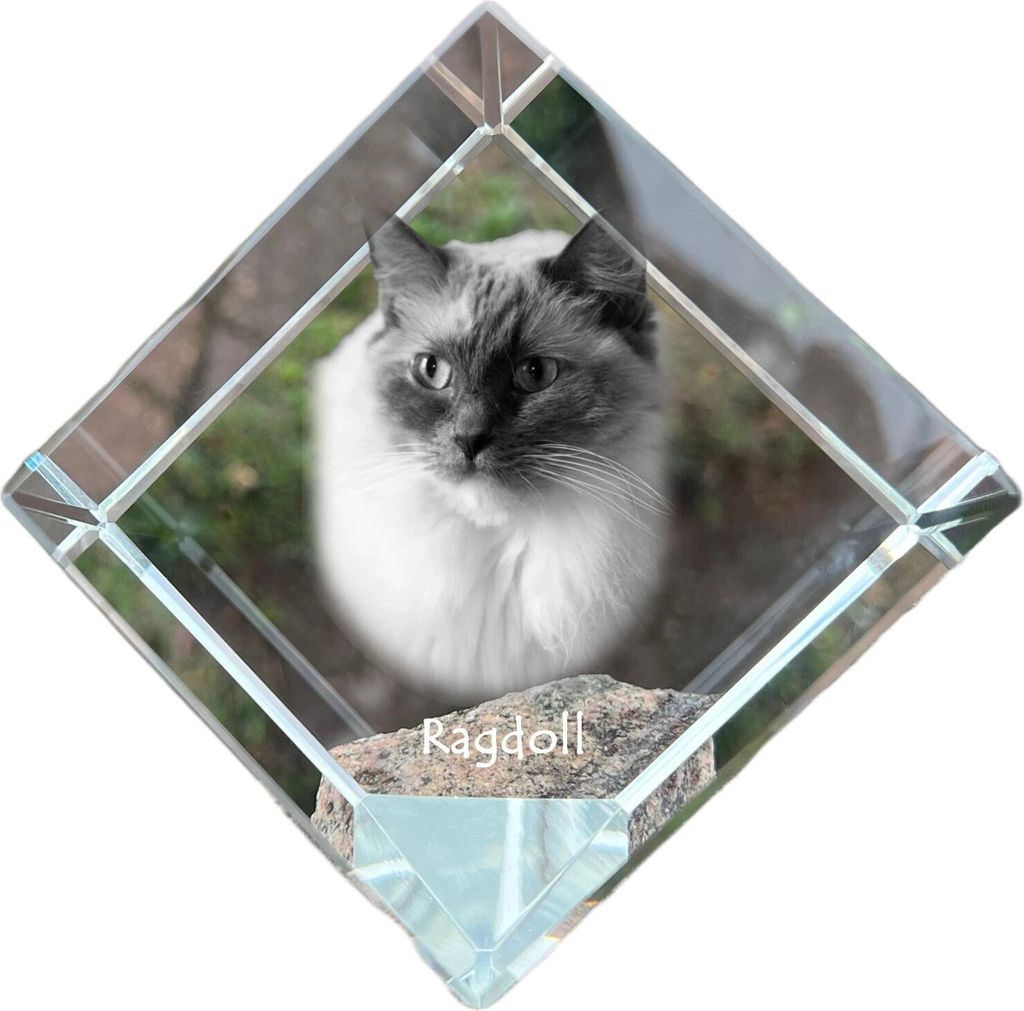 Ragdoll - Kristallwürfel mit Katzenbild, Pferdebild im Kristall, sechseckiger Papierclip von der Marke Art-Dog