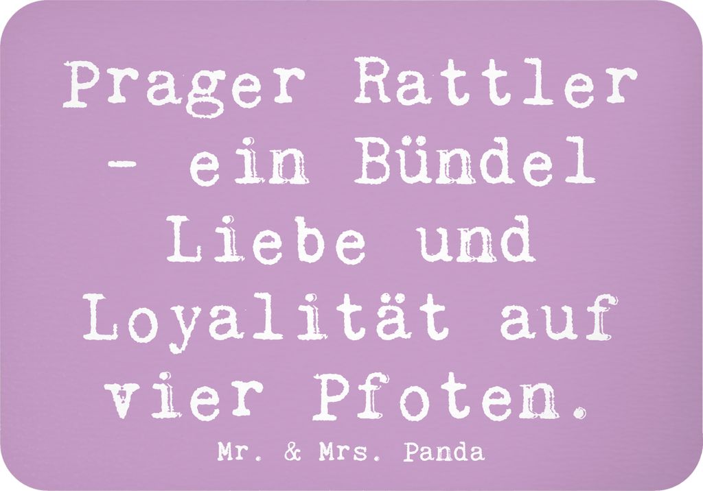 Mr. & Mrs. Panda Kühlschrankmagnet Spruch Prager Rattler - Lavendeltraum - Geschenk, Hunderasse, Hundeliebhaber, treuer Begleiter, Verbundenheit, ...
