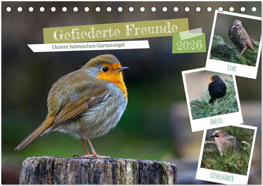 Gefiederte Freunde - Unsere heimischen Gartenvögel (Tischkalender 2026 DIN A5 quer), CALVENDO Monatskalender