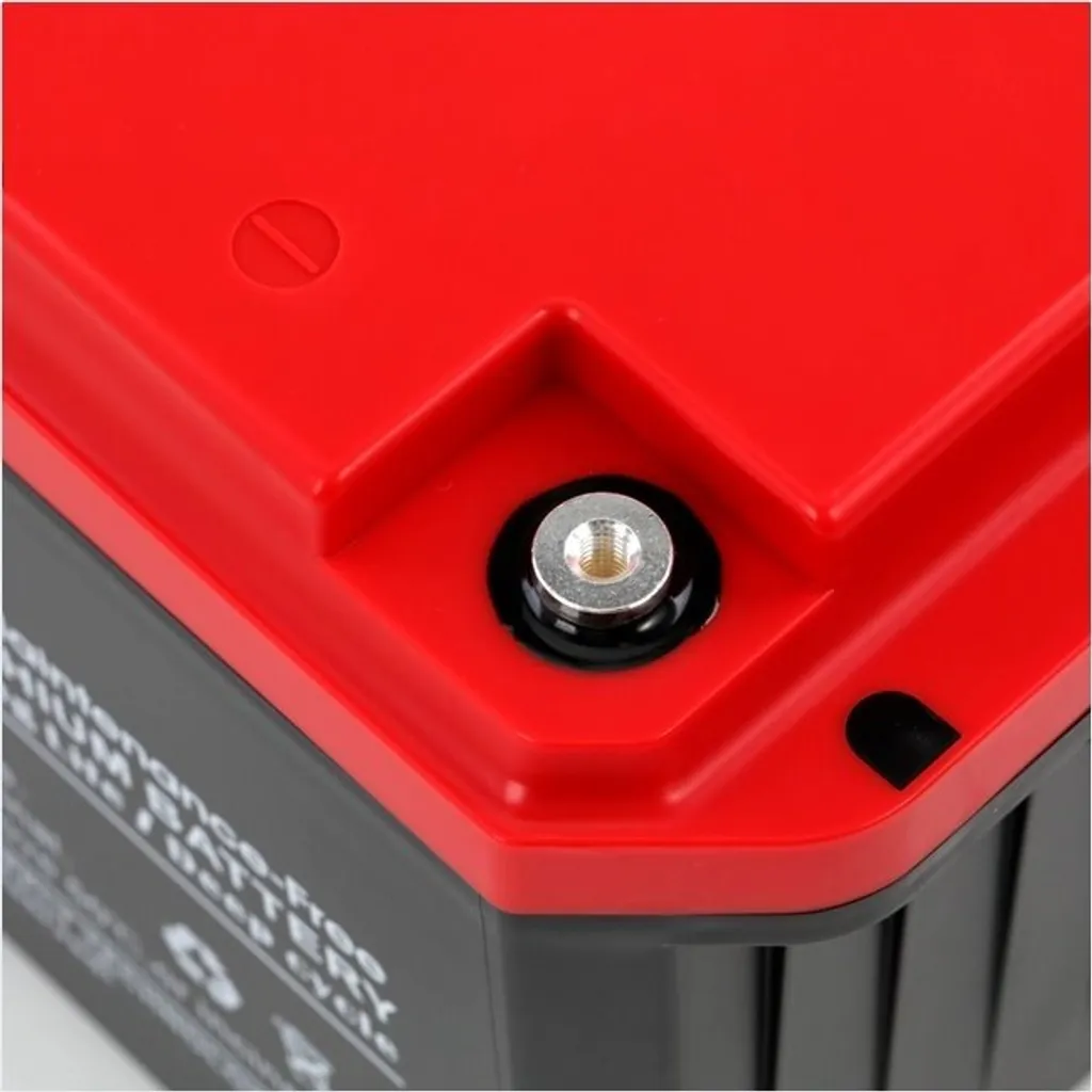 Batterie 12V 100Ah LiFePO4 MHPower MS100-12(L) avec BMS de Protection