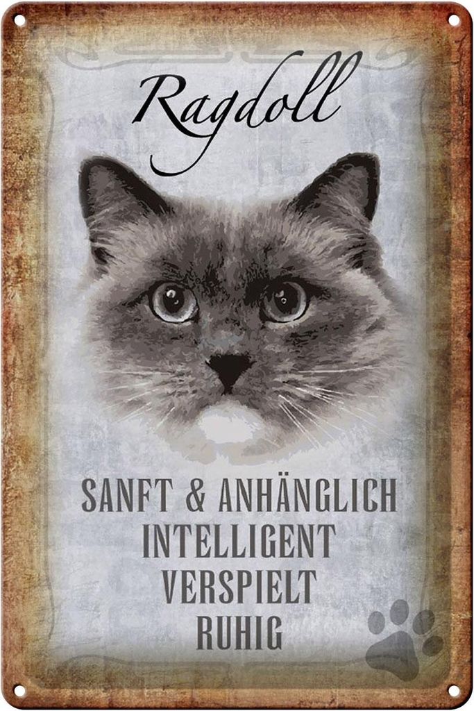 Blechschild Spruch 20x30cm Ragdoll Katze sanft Schild Produktbild 