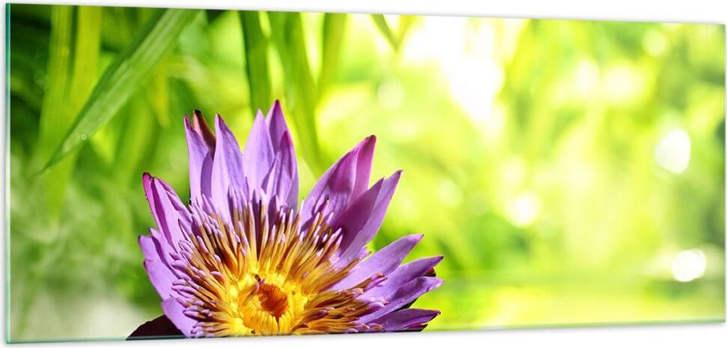 Bilder auf glas - Asien spa bambus blume - 100x40cm - Glasbilder - Wandbilder - Kunstdruck - zum Aufhängen bereit - Wanddekoration aus Glas - Glas...