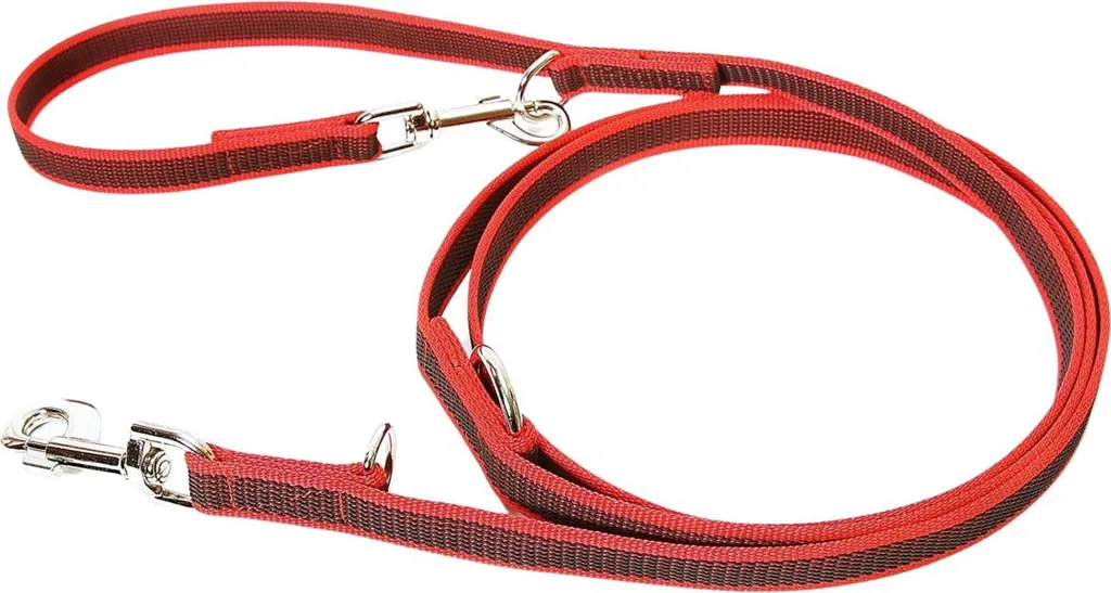 Laisse double réglable antidérapante en caoutchouc 2,2m pour gros chien