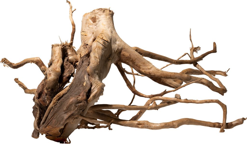 Stoffels Spiderwood - Rote Moorwurzel für Aquarien