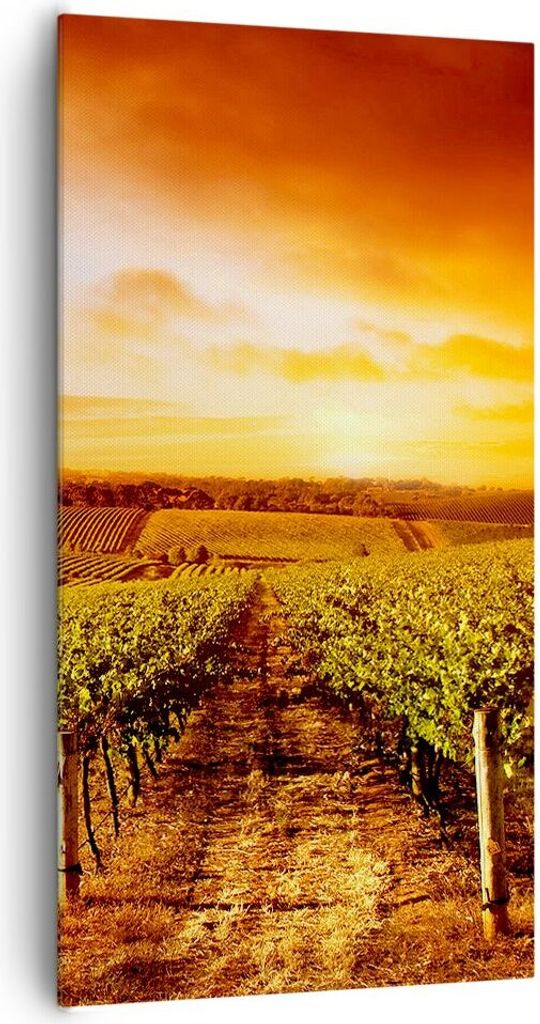 Bild auf Leinwand - Leinwandbild - Weinberg Aussicht Landschaft - 65x120cm - Wand Bild - Wanddeko - Leinwanddruck - Bilder - Kunstdruck - Wanddekor...