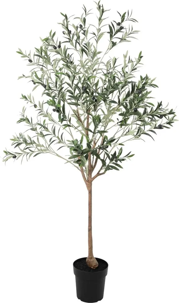 Grand Olivier Artificiel 170cm pour Décoration Salon et Intérieur Chic