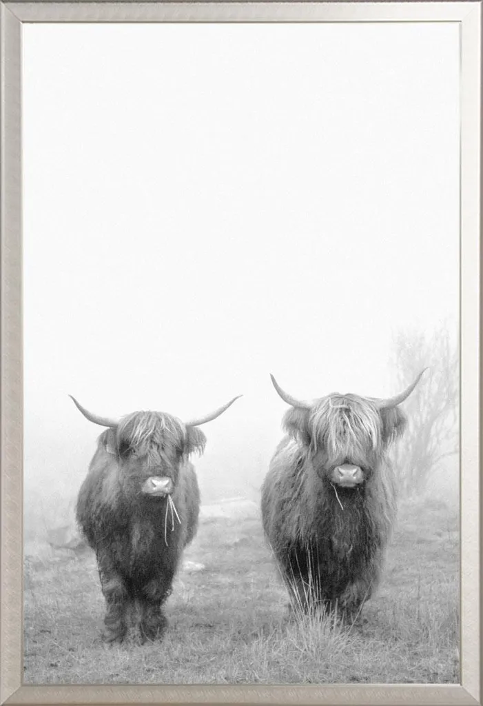 Cadre Photo Argenté Shinsuke® avec Poster Vaches Highland Vitre Incassable